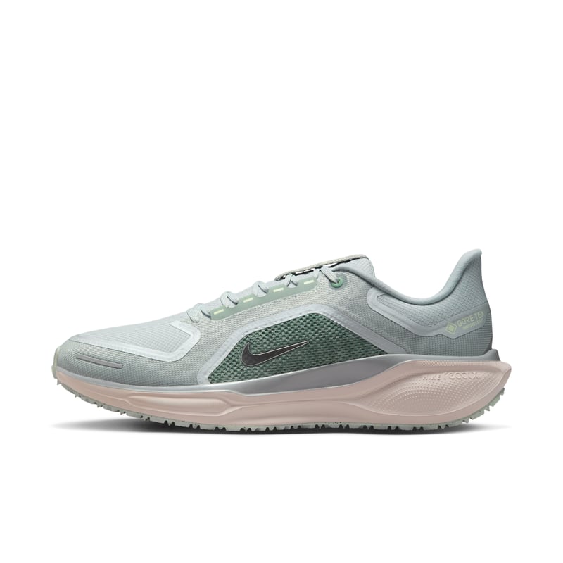 Nike Pegasus 41 GORE-TEX FQ1356-007 01