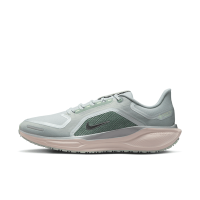 Nike Pegasus 41 GORE-TEX FQ1356-007 01