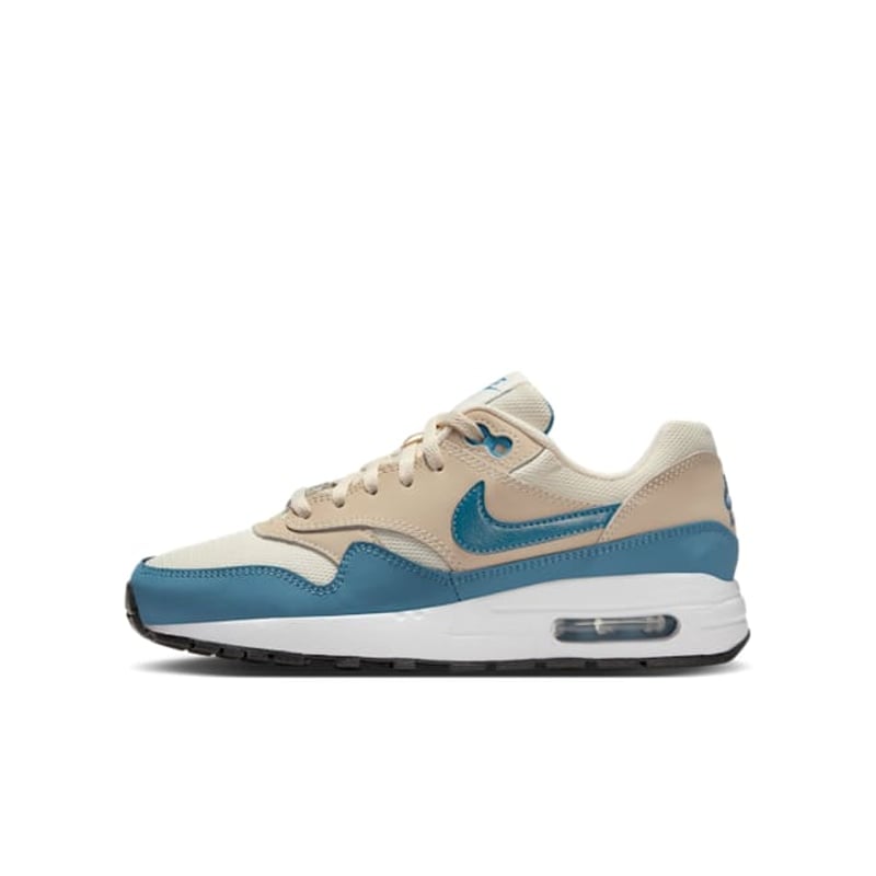 Nike Air Max 1 DZ3307-012 01