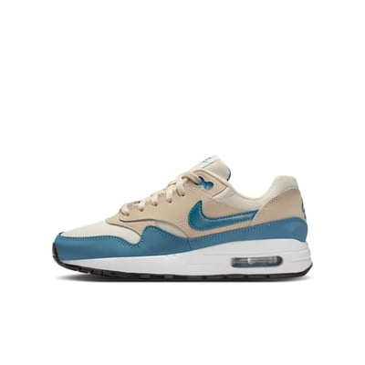 Nike Air Max 1 DZ3307-012