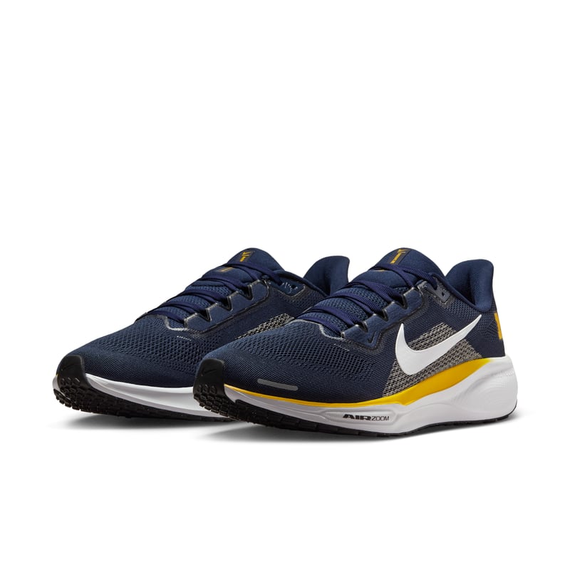 Nike Pegasus 41 IB3269-400 05
