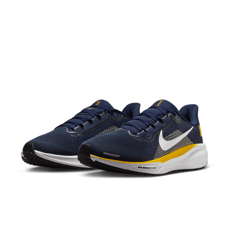 Nike Pegasus 41 IB3269-400 05