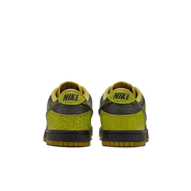 Nike Dunk Low Retro HV6103-300 06