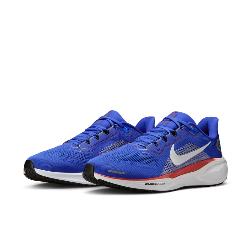 Nike Pegasus 41 IB3251-400 05