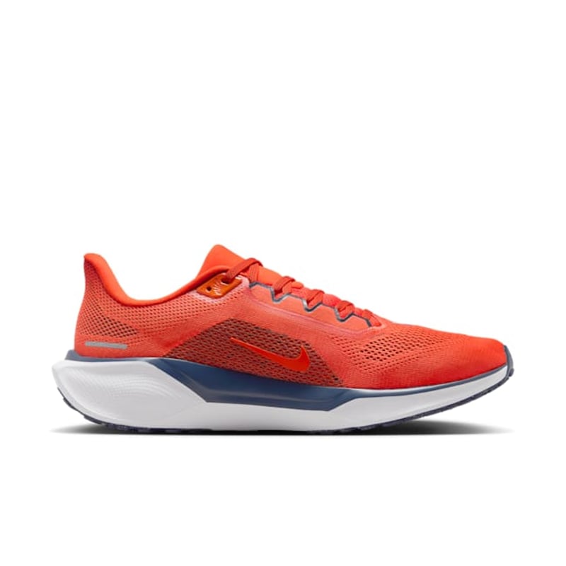 Nike Pegasus 41 FZ5151-800 03