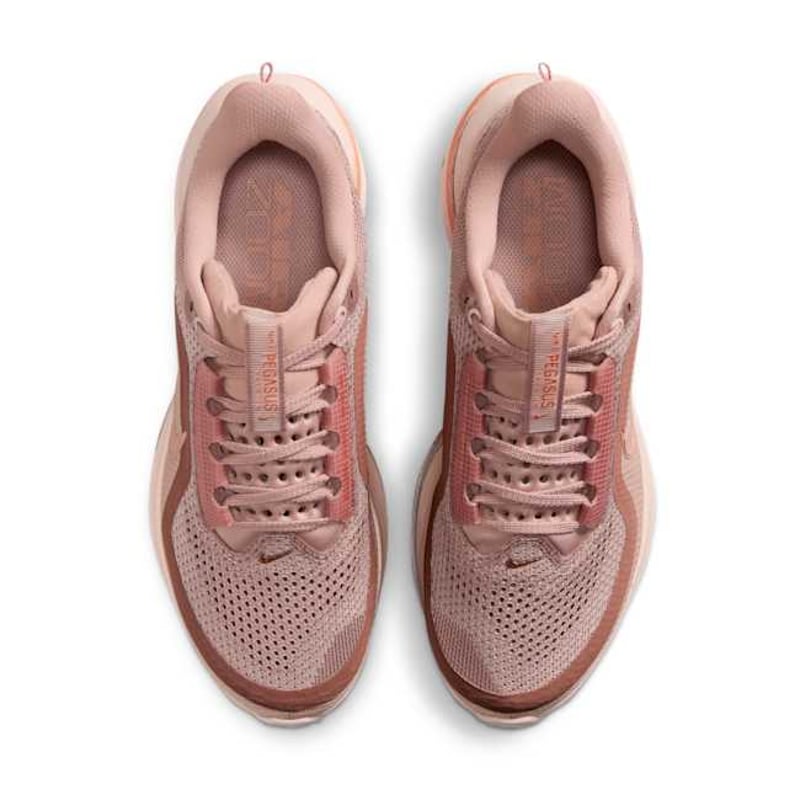 Nike Pegasus Premium HQ2593-603 04