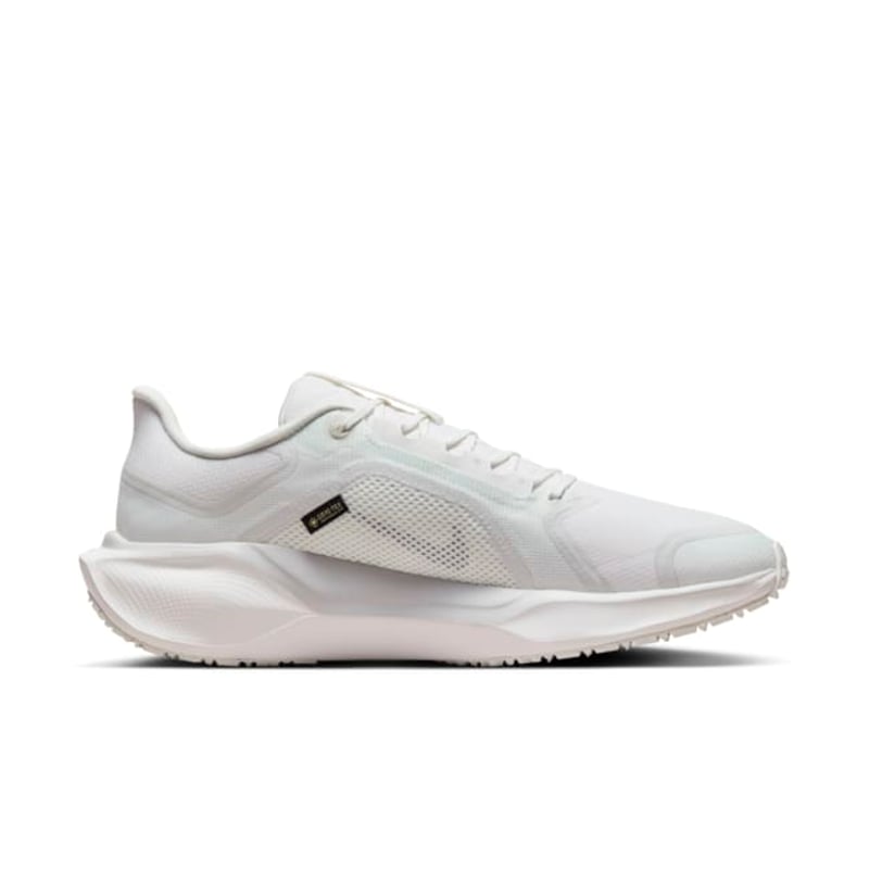 Nike Pegasus 41 GORE-TEX FQ1356-101 03