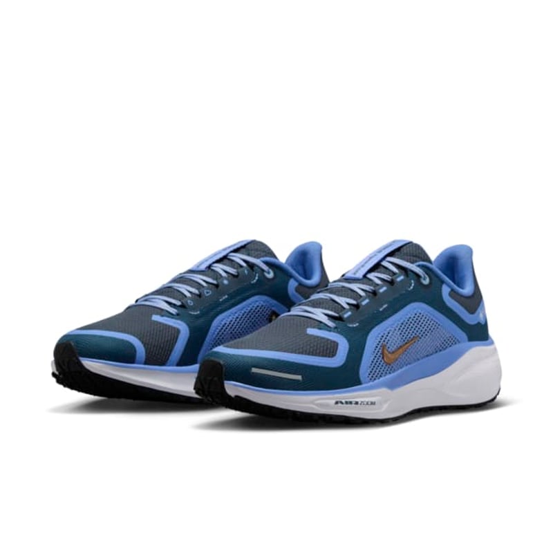 Nike Pegasus 41 GORE-TEX FQ1357-400 05