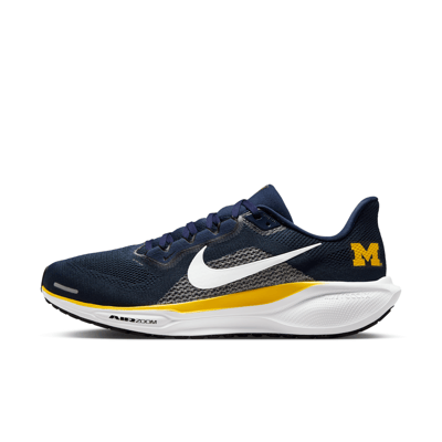 Nike Pegasus 41 IB3269-400