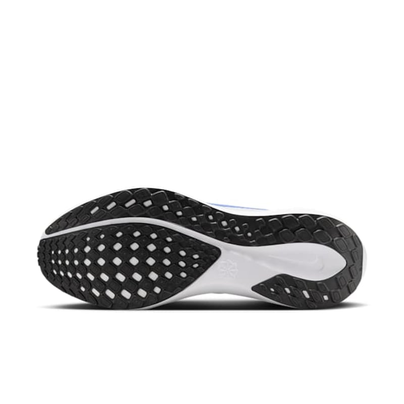 Nike Pegasus 41 FD2722-110 02