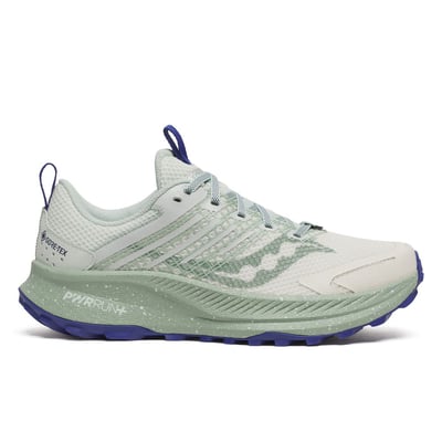 Saucony Ride TR2 GORE-TEX S10953-260