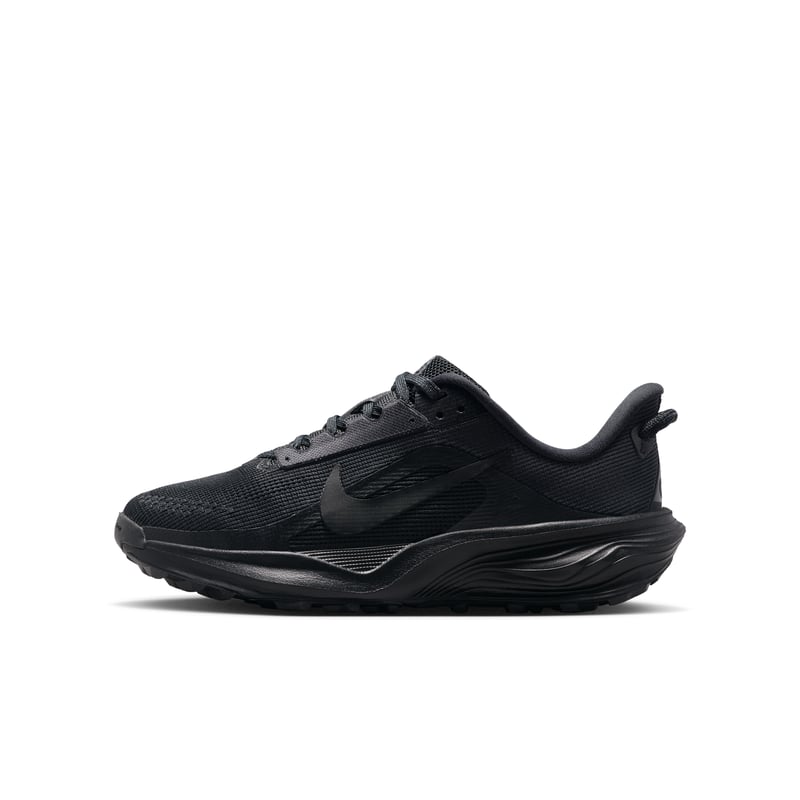 Nike ACG Pegasus IH2305-003 01