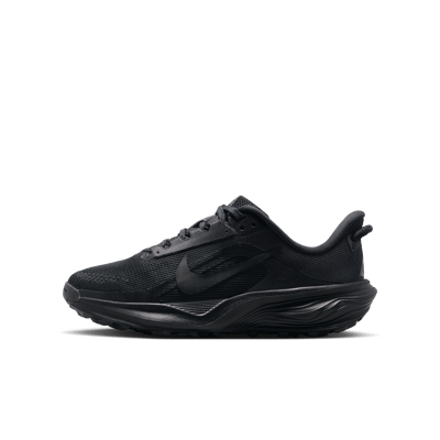 Nike ACG Pegasus IH2305-003 01
