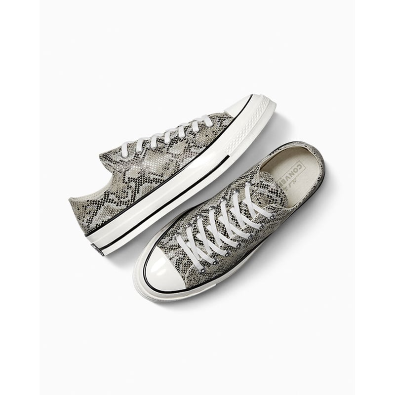 Converse Chuck 70 Low A13434C 04