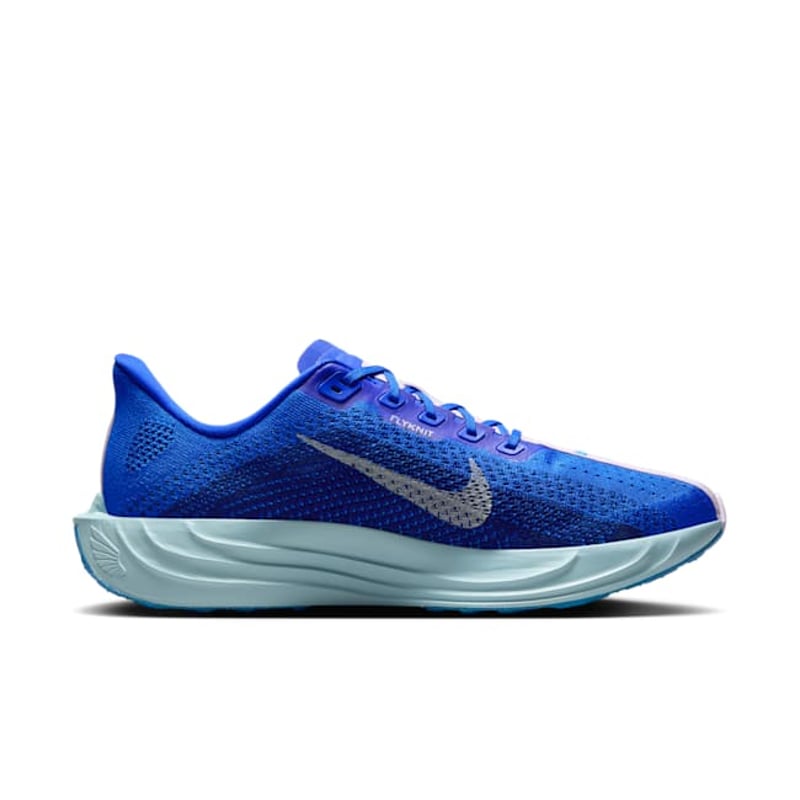 Nike Pegasus Plus HQ1719-400 03