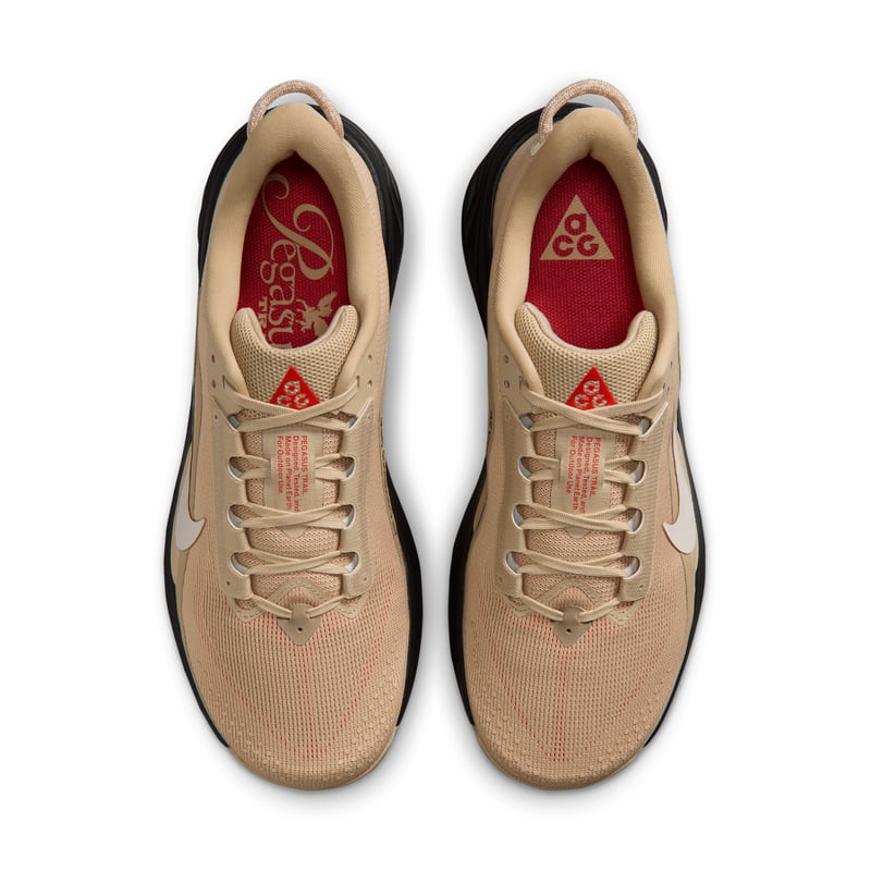 Nike ACG Pegasus HV8116-203 04