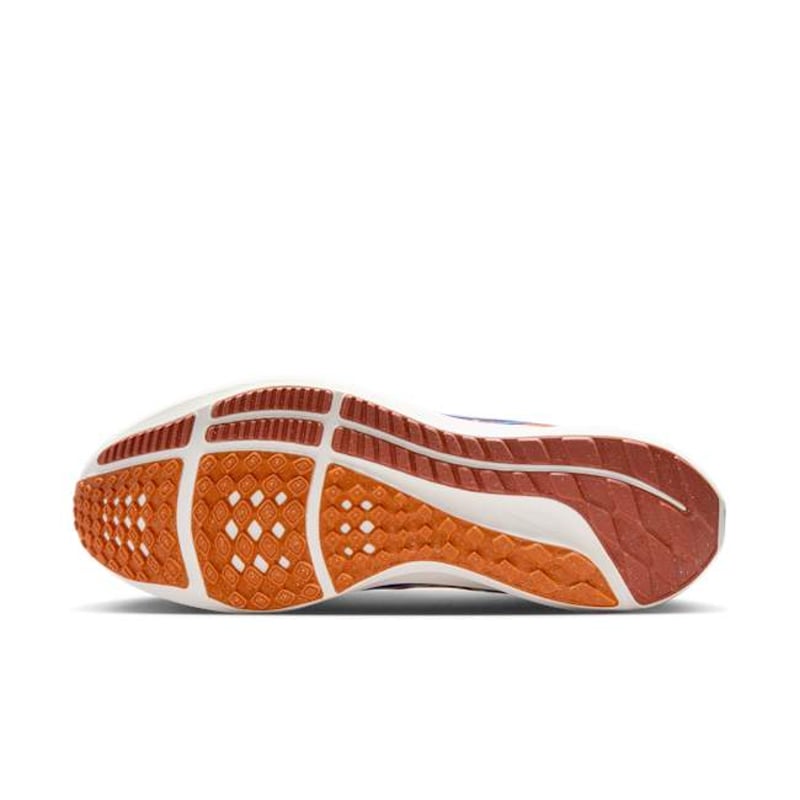 Nike Pegasus 40 Premium FQ7680-100 02