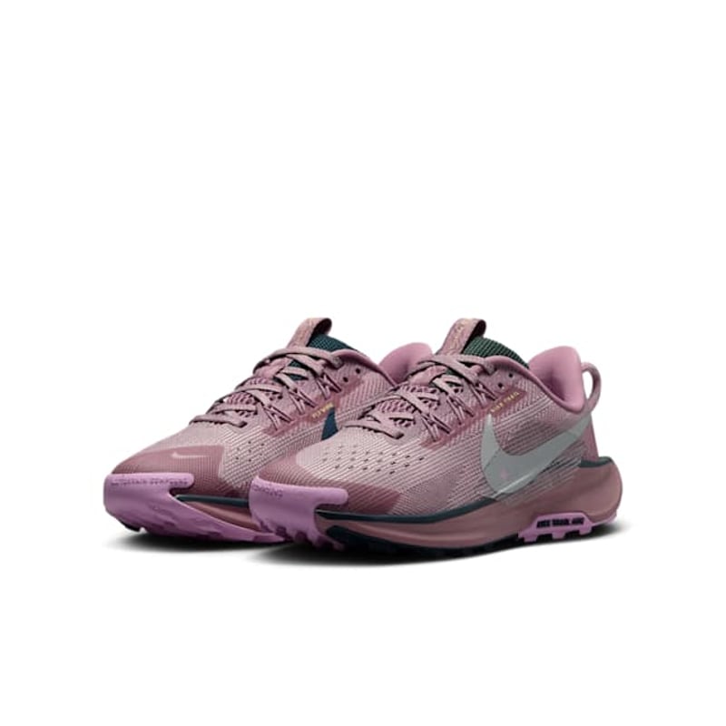 Nike Pegasus Trail 5 FV5638-500 05