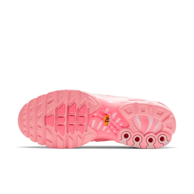 Nike Air Max Plus DH0155-600 02