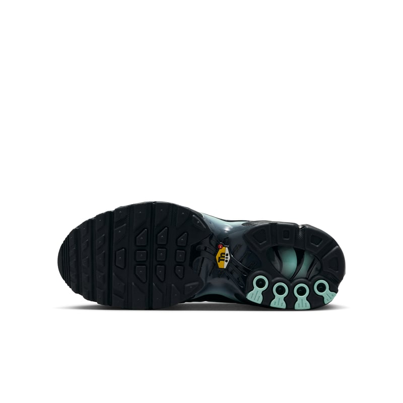 Nike Air Max Plus IF6169-010 02