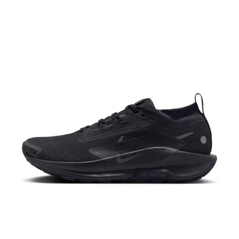 Nike Pegasus Trail 5 GORE-TEX FQ0908-002 01