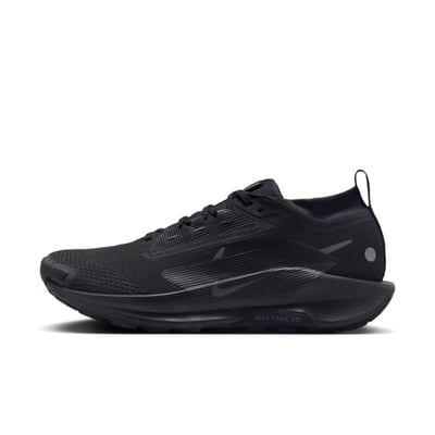 Nike Pegasus Trail 5 GORE-TEX FQ0908-002 01