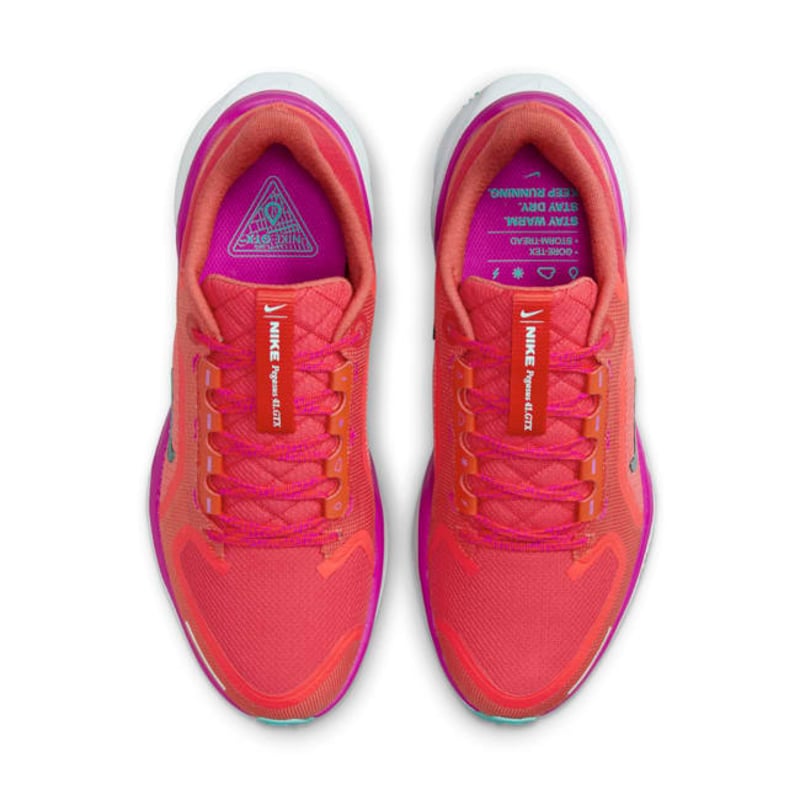 Nike Pegasus 41 GORE-TEX HM8870-600 04