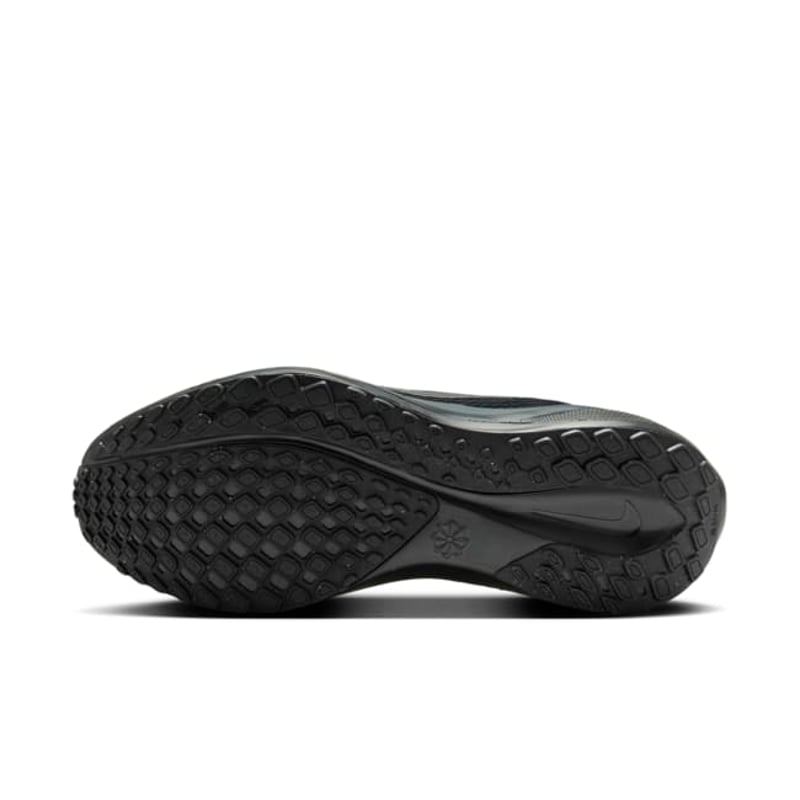 Nike Pegasus 41 FD2723-001 02