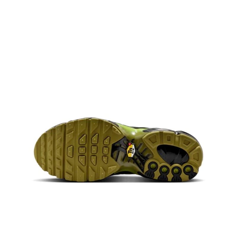 Nike Air Max Plus CD0609-028 02