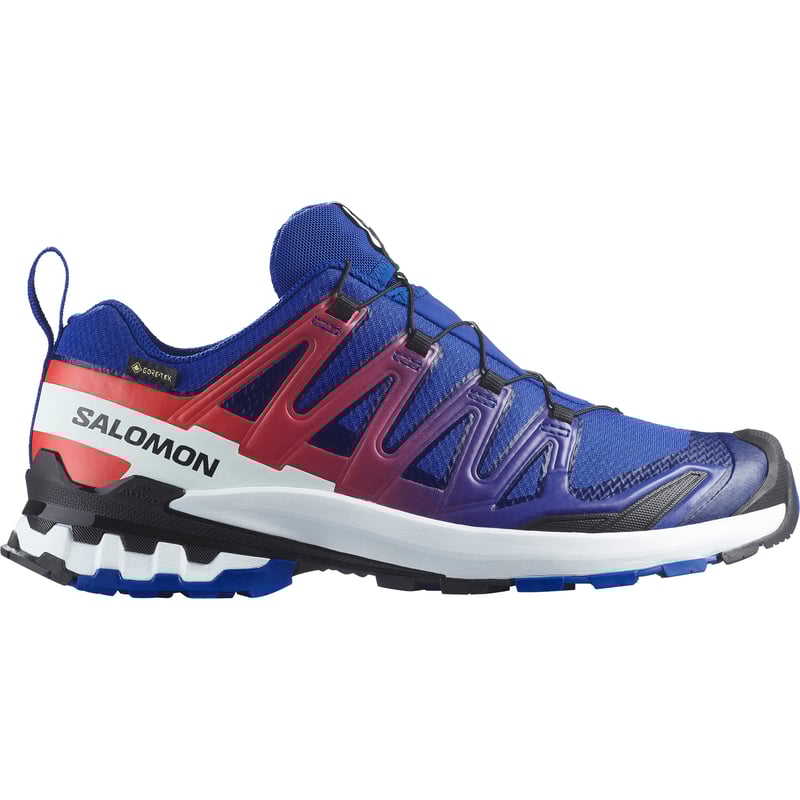 Salomon XA PRO 3D V9 GORE-TEX Equipe L47982600 01