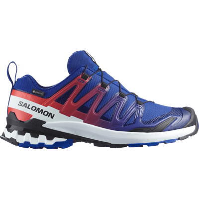 Salomon XA PRO 3D V9 GORE-TEX Equipe L47982600
