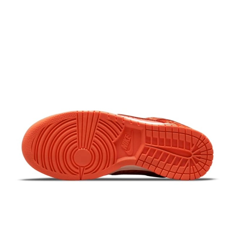 Nike Dunk Low DO6723-800 02