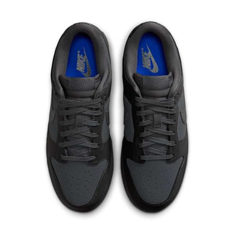 Nike Dunk Low FZ3781-060 04
