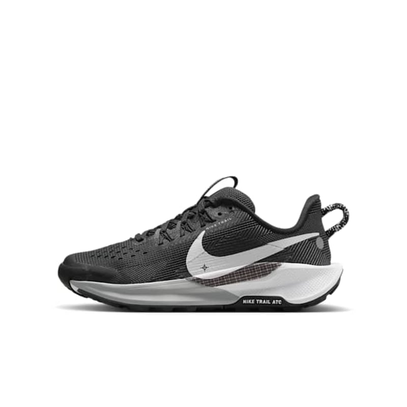 Nike Pegasus Trail 5 FV5638-003 01