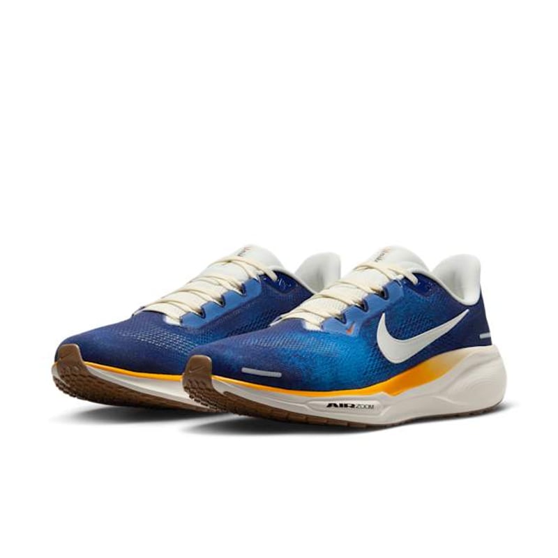 Nike Pegasus 41 IB7723-492 05