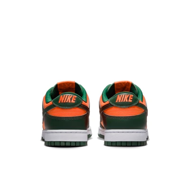 Nike Dunk Low Retro DD1391-300 06