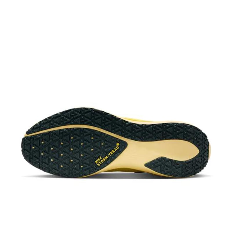 Nike Pegasus 41 GORE-TEX FQ1356-700 02