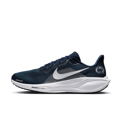 Nike Pegasus 41 IB3258-400