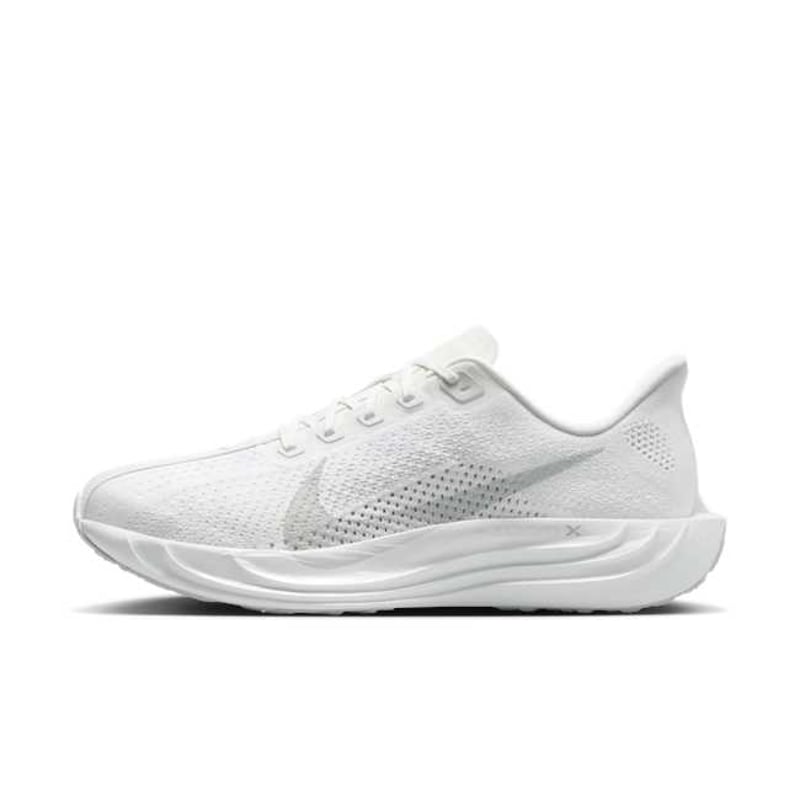 Nike Pegasus Plus FQ7262-102 01