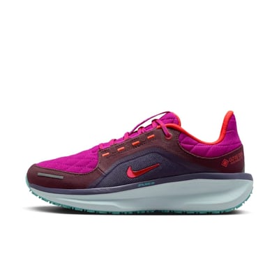 Nike Winflo 11 GORE-TEX SE HM8871-500