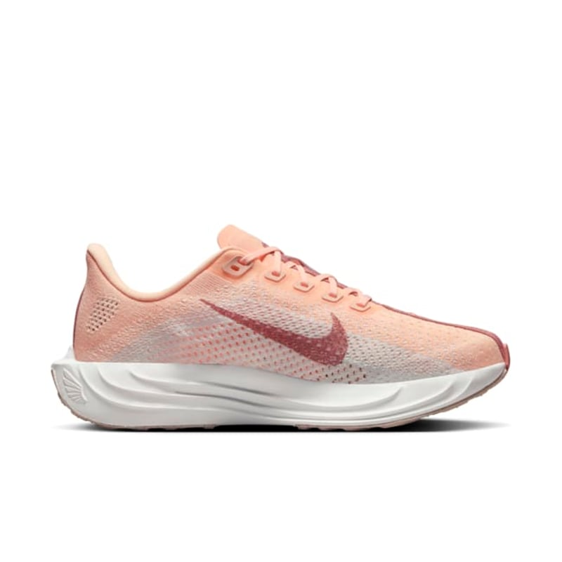 Nike Pegasus Plus FQ7261-800 03