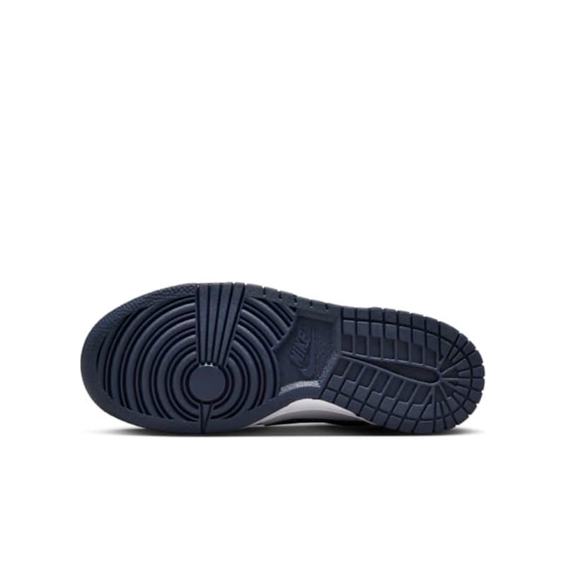 Nike Dunk Low HF5177-400 02