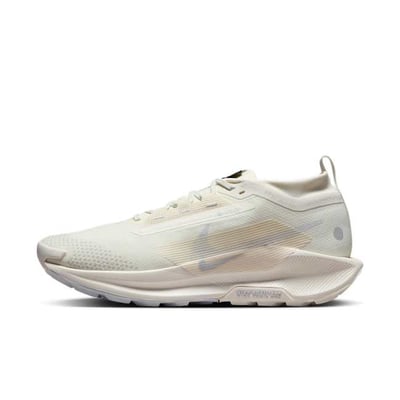 Nike Pegasus Trail 5 GORE-TEX FQ0908-101