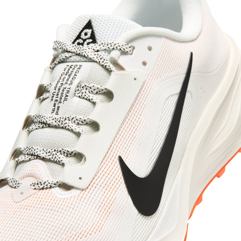 Nike ACG Pegasus HV8116-103 07