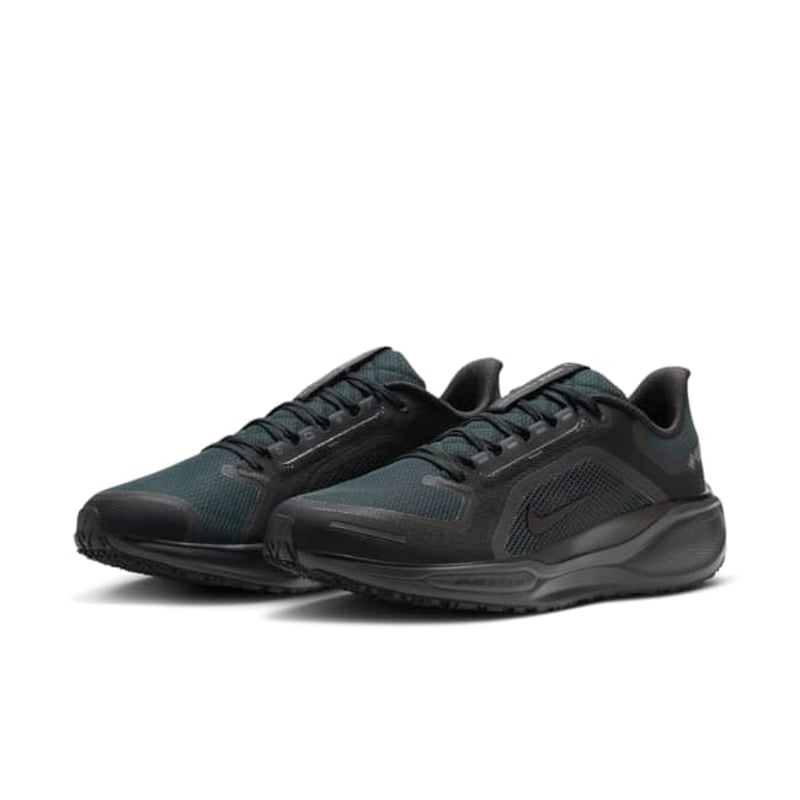 Nike Pegasus 41 GORE-TEX FQ1356-001 05