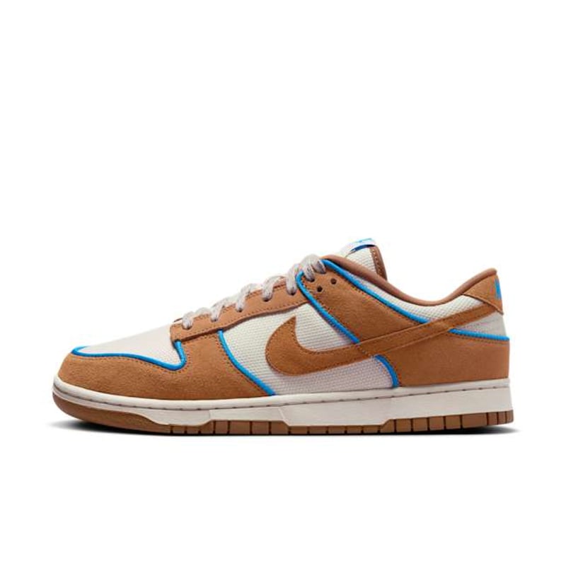 Nike Dunk Low Premium FN5825-100 01