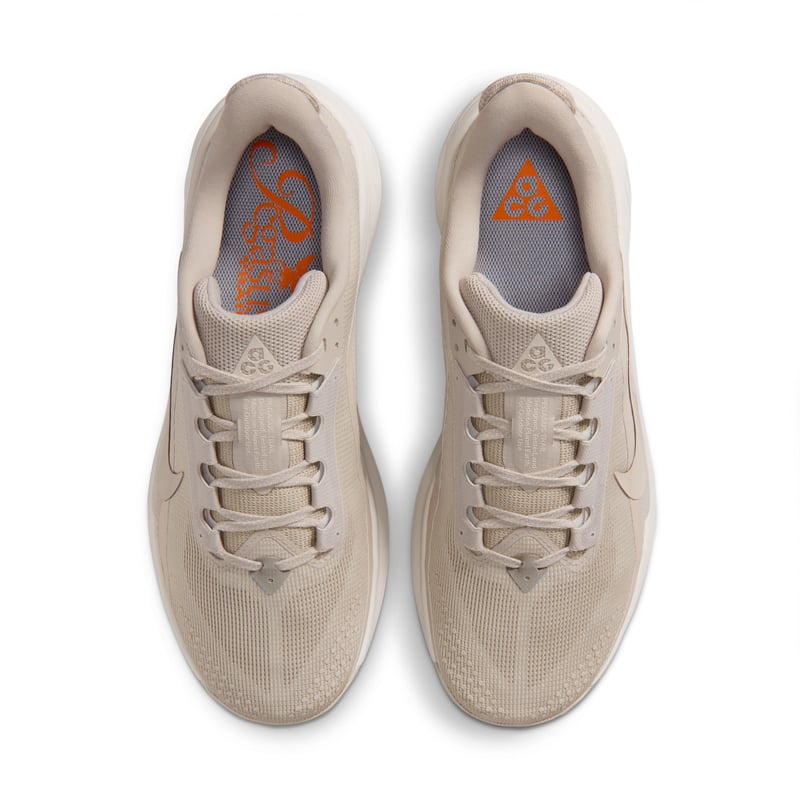 Nike ACG Pegasus HV8116-200 04