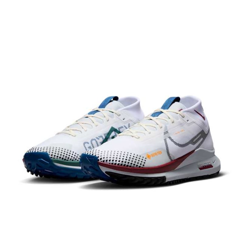 Nike Pegasus Trail 4 GORE-TEX DJ7926-102 05