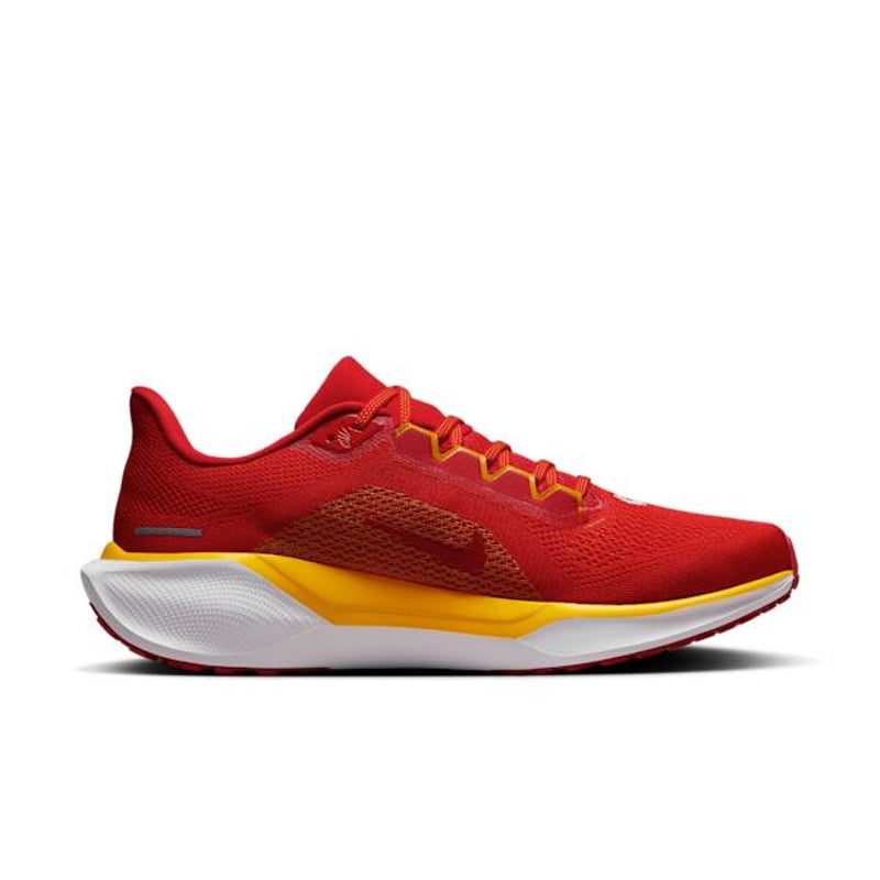 Nike Pegasus 41 x NFL FZ5079-600 03