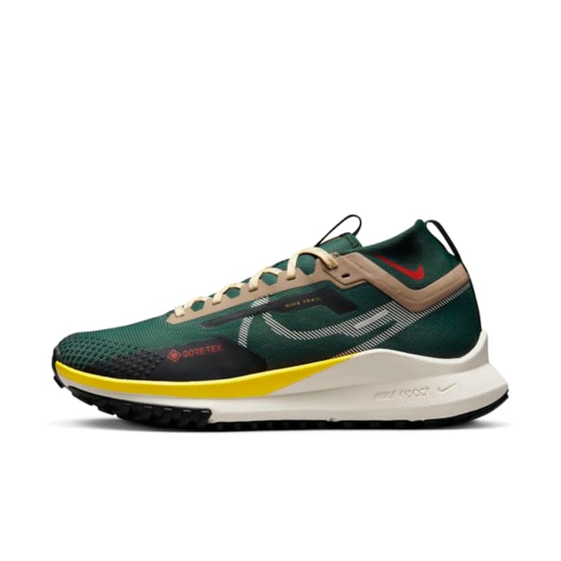 Nike Pegasus Trail 4 GORE-TEX FD0317-333 01